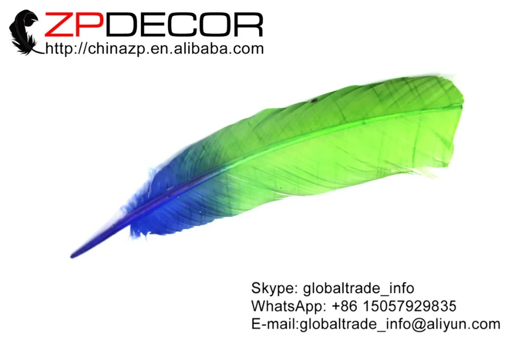 Blue and Purple Wild Turkey Wing Feather (2)