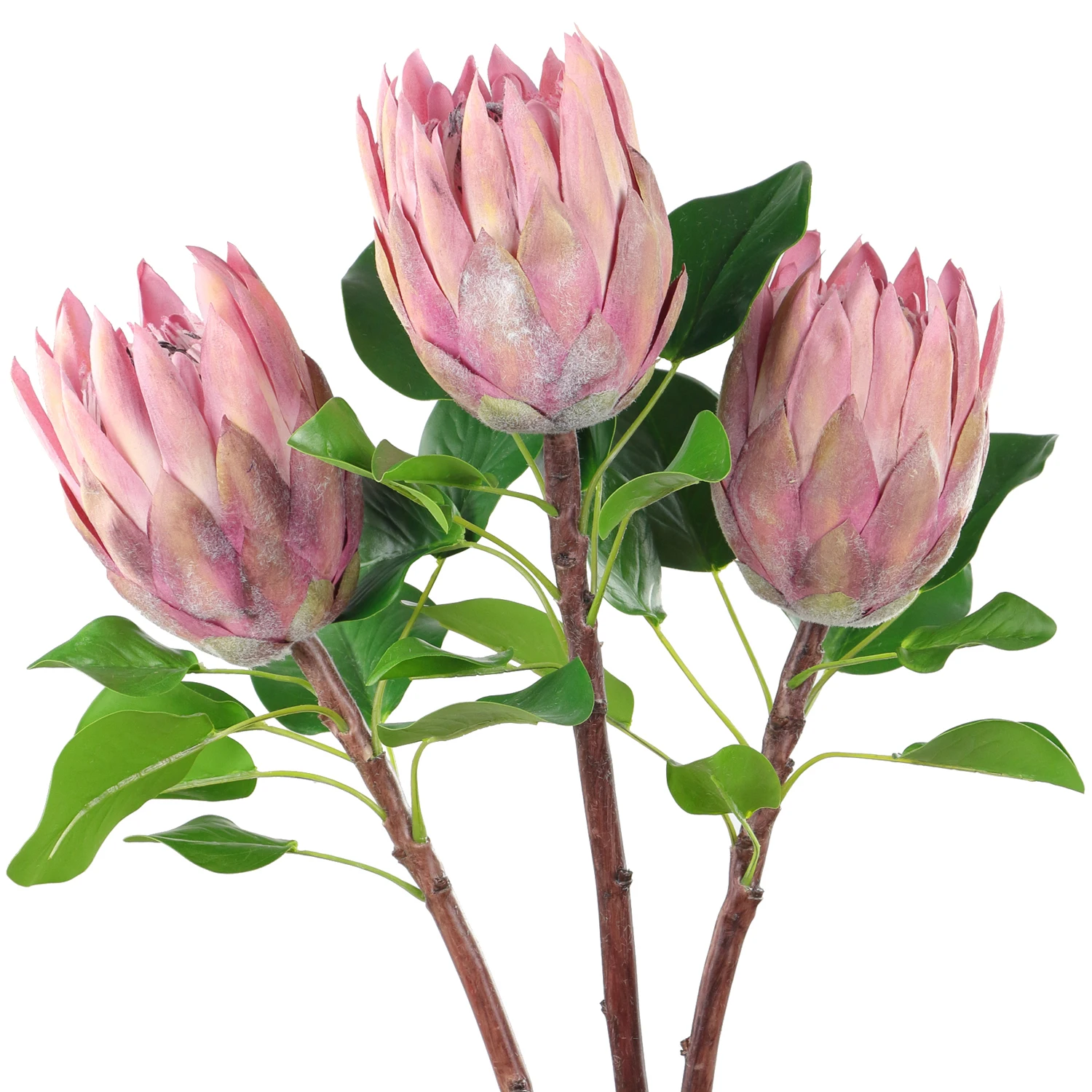 Rinlong Artificial Protea Cynaroides Silk Flower for Floral Arrangements Home Party Fake Flowers
Rinlong Artificial Protea Cynaroides Silk Flower for Floral Arrangements Home Party Fake Flowers