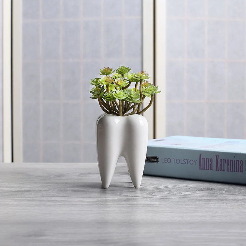 1Pc Tooth Shape White Ceramic Flower Pot Modern Design Planter Teeth Model Mini Desktop Pot Creative Gift(without Plants) 2019
1Pc Tooth Shape White Ceramic Flower Pot Modern Design Planter Teeth Model Mini Desktop Pot Creative Gift(without Plants) 2019