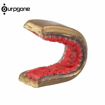 Ourpgone 1pc Archery Arrow Bow Strings Buckle Clip Nock Sets Brass Nocking Point Bow String Protect Dropshipping
Ourpgone 1pc Archery Arrow Bow Strings Buckle Clip Nock Sets Brass Nocking Point Bow String Protect Dropshipping