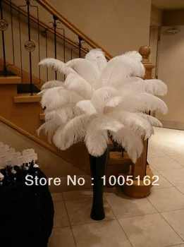 Free Shipping 100 pcs 14-16inch(35-40cm) White Ostrich Feathers for Wedding centerpiece table centerpiece
Free Shipping 100 pcs 14-16inch(35-40cm) White Ostrich Feathers for Wedding centerpiece table centerpiece