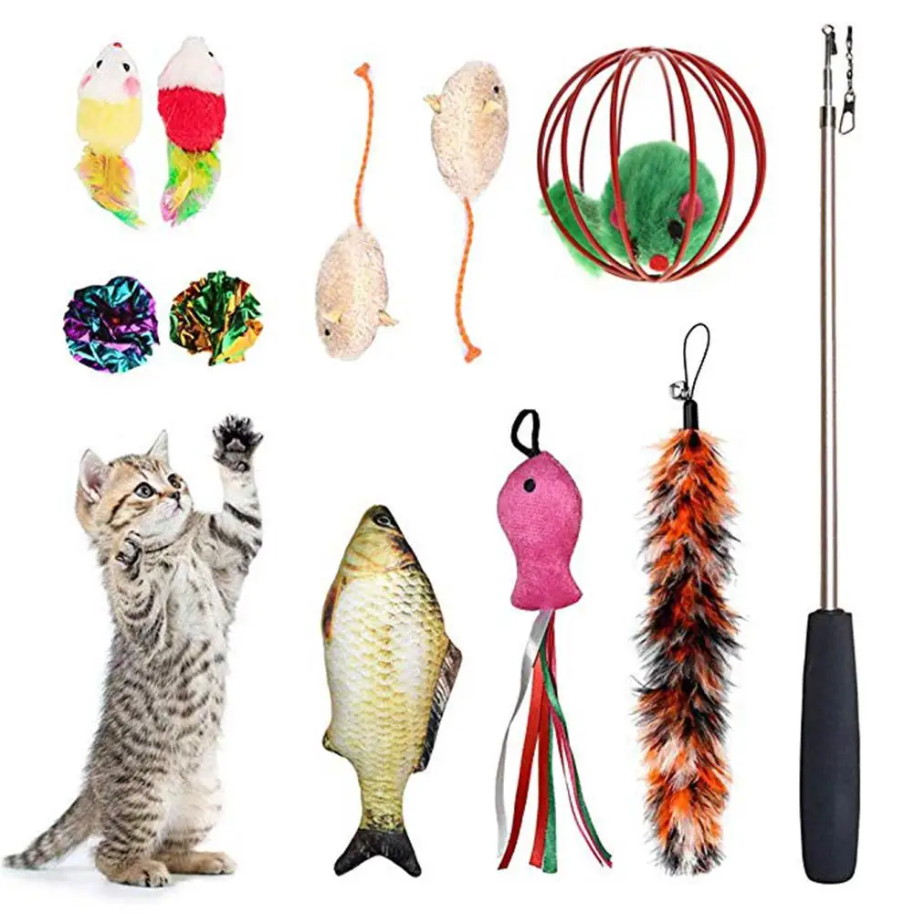 HobbyLane 11pcs/set Retractable Pet Play Toy Soft Plush Simulation Fish Mouse Playing Toy For Pet Cats
HobbyLane 11pcs/set Retractable Pet Play Toy Soft Plush Simulation Fish Mouse Playing Toy For Pet Cats