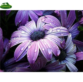 Purple Daisy Flower Water Drop Diamond Painting Flower In Rain Diamond Embroidery Cross Stitch Beautiful Various Plants Wall
Purple Daisy Flower Water Drop Diamond Painting Flower In Rain Diamond Embroidery Cross Stitch Beautiful Various Plants Wall