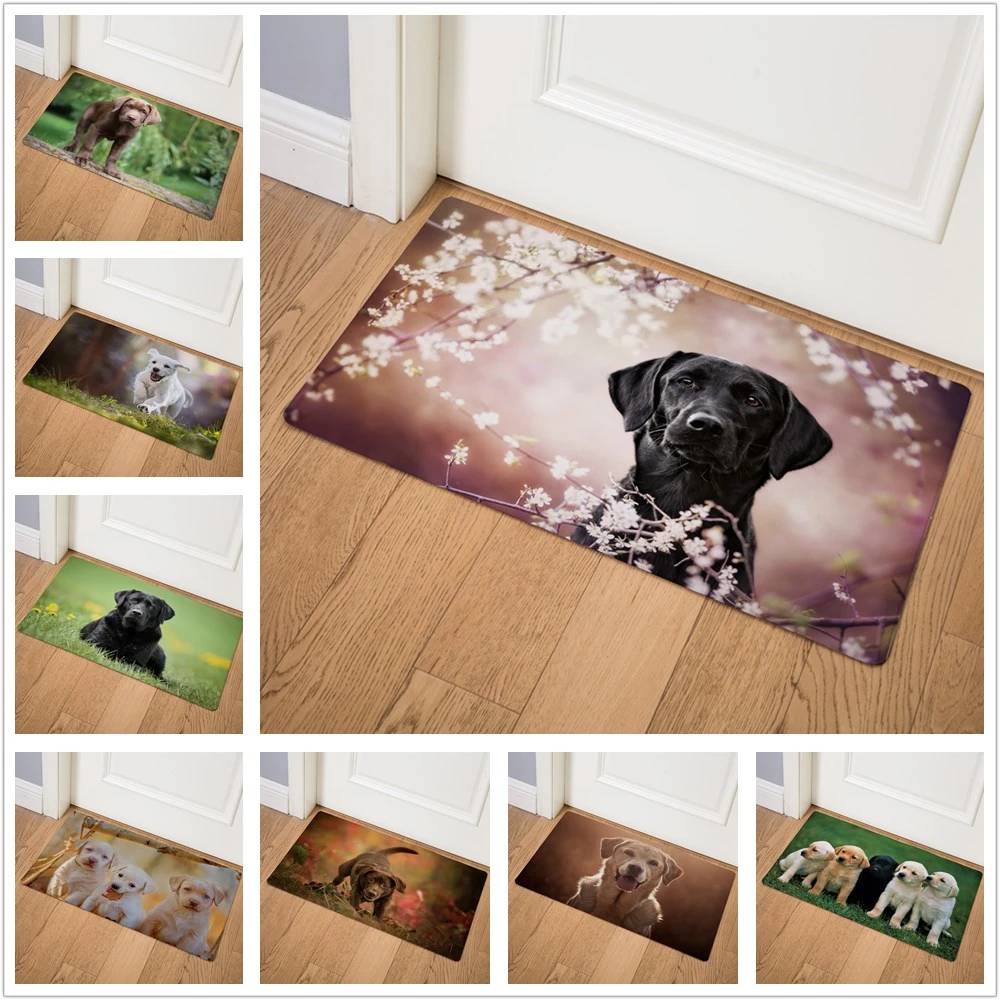 Labrador Pet Dog Print Home Decor Doormat Insole Kitchen Carpet Indoor Outdoor Welcome Bathroom Non-slip Floor Mats 46x75cm
Labrador Pet Dog Print Home Decor Doormat Insole Kitchen Carpet Indoor Outdoor Welcome Bathroom Non-slip Floor Mats 46x75cm