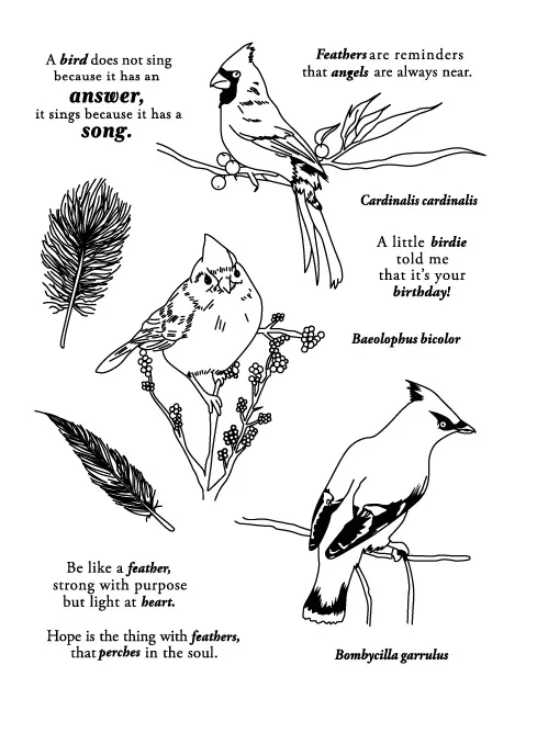 bird/Transparent Clear Stamps for DIY Scrapbooking/Card Making/Kids Christmas Fun Decoration Supplies
bird/Transparent Clear Stamps for DIY Scrapbooking/Card Making/Kids Christmas Fun Decoration Supplies