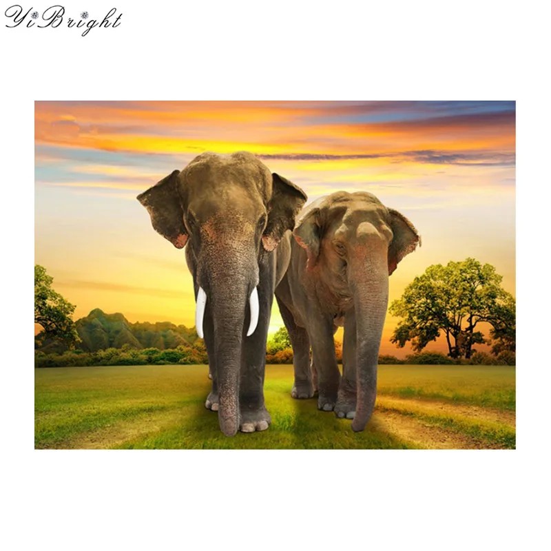 Diy Embroidery Couple Elephant Diamond Painting Cross Stitch Two Animal Picture Of Rhinestones Full Square Diamonds Mosaic
Diy Embroidery Couple Elephant Diamond Painting Cross Stitch Two Animal Picture Of Rhinestones Full Square Diamonds Mosaic
