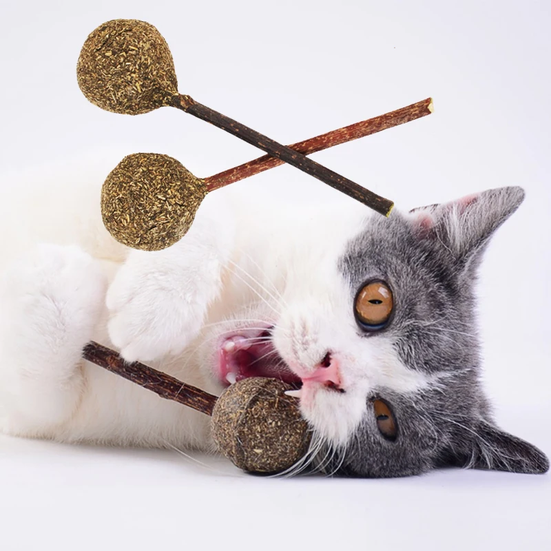 Cat Dog Toys Mint Ball Cat Animal Candy Food Grade Ball Pet Molar Stick Pet Supplies Pet Grasping Play Game Funny Nature Health
Cat Dog Toys Mint Ball Cat Animal Candy Food Grade Ball Pet Molar Stick Pet Supplies Pet Grasping Play Game Funny Nature Health