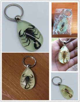 Car Accessories Luminous Insect Epoxy Keychain Resin Tweezers for BMW all series F-series E46 E90 F09 1 2 3 4 5 6 7 X E
Car Accessories Luminous Insect Epoxy Keychain Resin Tweezers for BMW all series F-series E46 E90 F09 1 2 3 4 5 6 7 X E