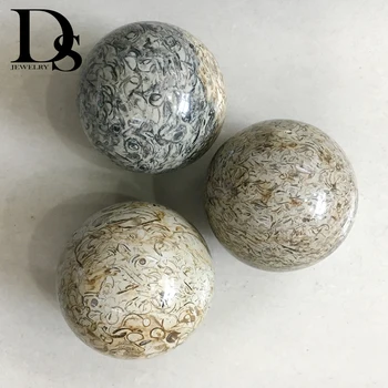 Natural Dinosaur Fossil Ball Quartz Crystal Sphere Smooth Polished Pebble Reiki Healing Crystal Home Decora & Free Wood Stand
Natural Dinosaur Fossil Ball Quartz Crystal Sphere Smooth Polished Pebble Reiki Healing Crystal Home Decora & Free Wood Stand