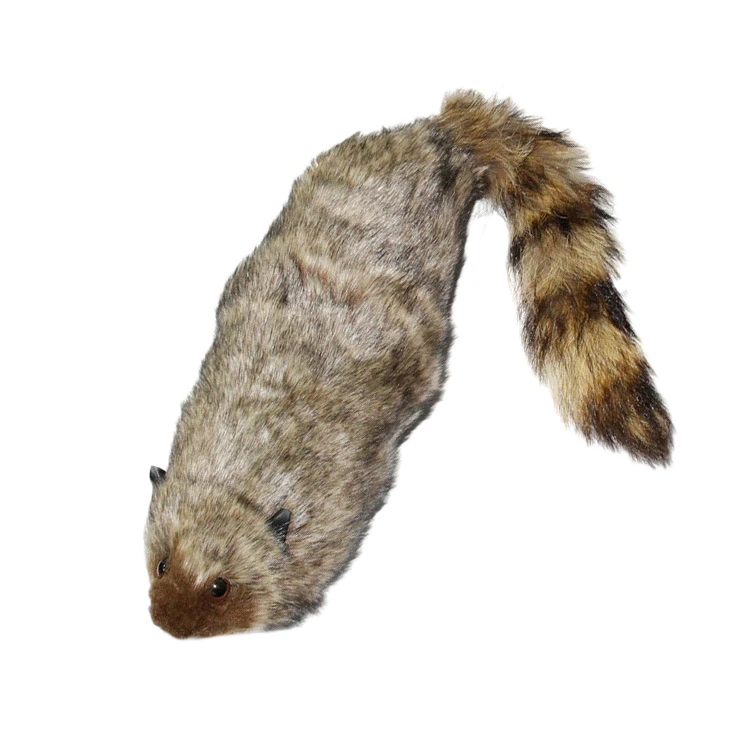 Raccoon Magic Stage Street Illusions Gimmick Accessories Prop Funny Appear Spring Animal Magic Toy
Raccoon Magic Stage Street Illusions Gimmick Accessories Prop Funny Appear Spring Animal Magic Toy
