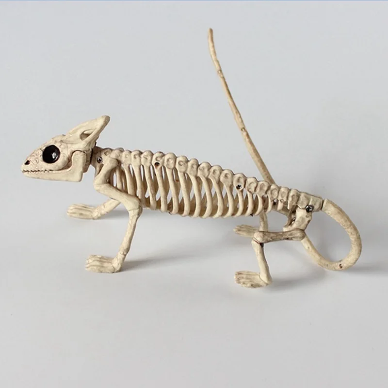 Kigurumi Halloween Cosplay Props Terror Skeleton lizard frog bat skeleton model Halloween horror animals decorate haunted house
Kigurumi Halloween Cosplay Props Terror Skeleton lizard frog bat skeleton model Halloween horror animals decorate haunted house