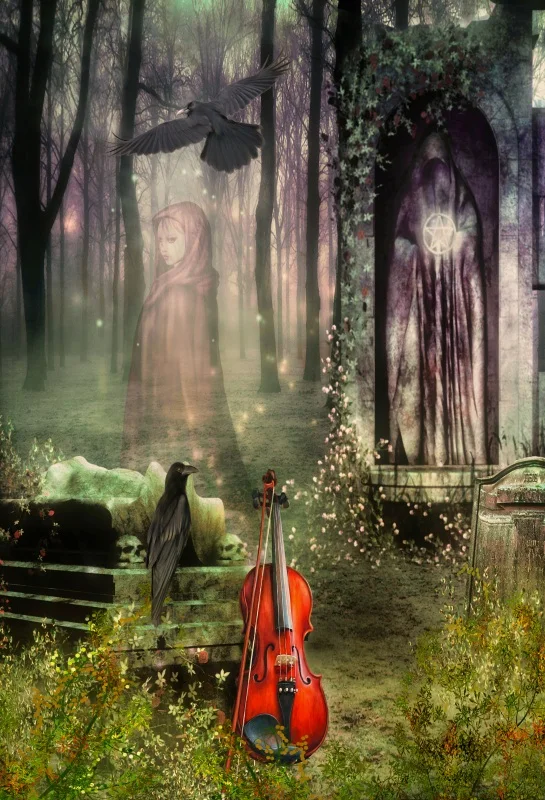 Laeacco Magical Dreamlike Cello Forest Girl Bird Photography Backgrounds Customized Photographic Backdrops For Photo Studio
Laeacco Magical Dreamlike Cello Forest Girl Bird Photography Backgrounds Customized Photographic Backdrops For Photo Studio