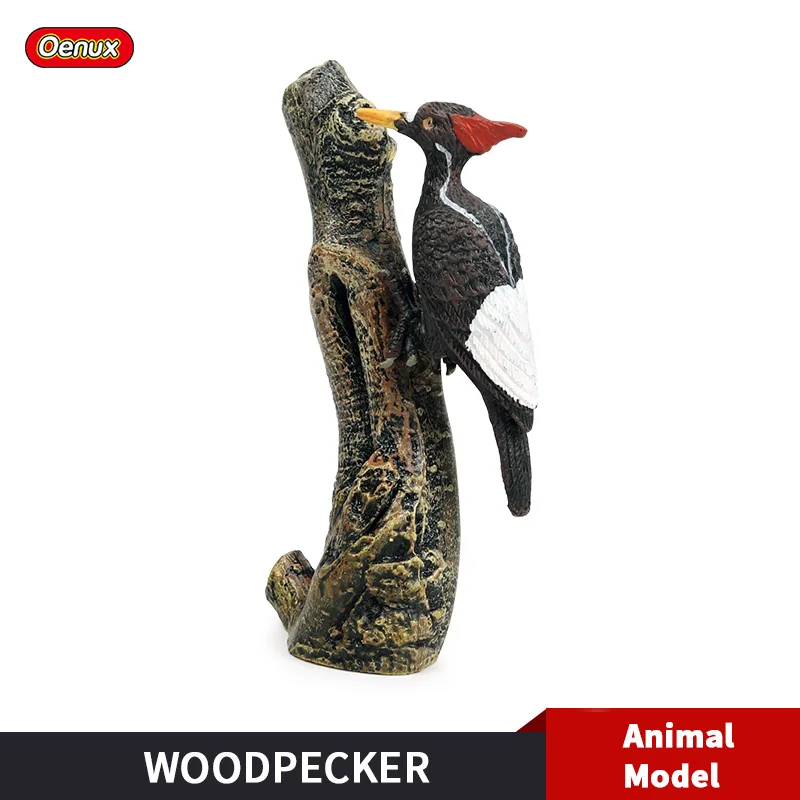 Oenux Original Bird Animals Woodpecker Simulation Picidae Action Figures Model Miniature Figurine Educational Toy For Kids Gift
Oenux Original Bird Animals Woodpecker Simulation Picidae Action Figures Model Miniature Figurine Educational Toy For Kids Gift