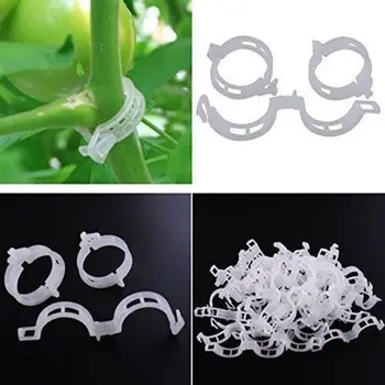50-200pcs Tomato Veggie Garden Plant Support Clips for Trellis Twine Greenhouse Vegetable Vine Fixed Plastic Buckle
50-200pcs Tomato Veggie Garden Plant Support Clips for Trellis Twine Greenhouse Vegetable Vine Fixed Plastic Buckle