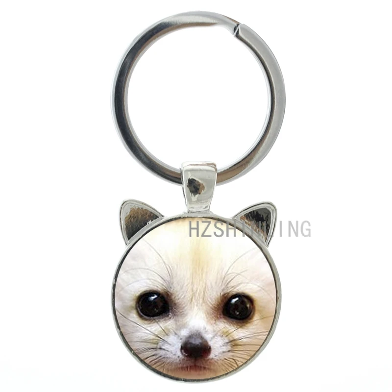 2016 New Fennec Fox keychain Little Fox Vulpes zerda keyring novelty cute animal key chain ring holder men women jewelry CN799
2016 New Fennec Fox keychain Little Fox Vulpes zerda keyring novelty cute animal key chain ring holder men women jewelry CN799