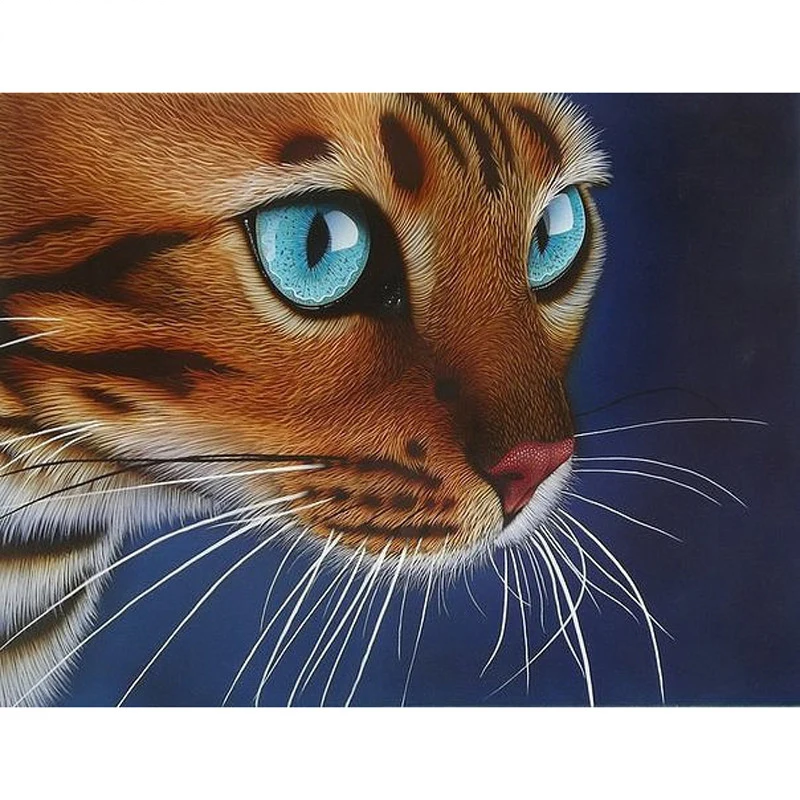5D DIY Diamond embroidery blue eyes cat full square diamond Painting Cross Stitch Rhinestone Mosaic decoration gift
5D DIY Diamond embroidery blue eyes cat full square diamond Painting Cross Stitch Rhinestone Mosaic decoration gift