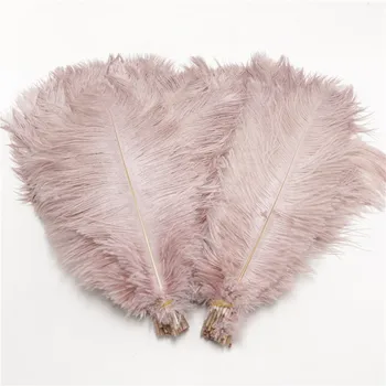 

Cameo ostrich feathers ostrich plumes wedding centerpieces table decoration holiday festival 200pcs/lot 35-40cm/14-16inch