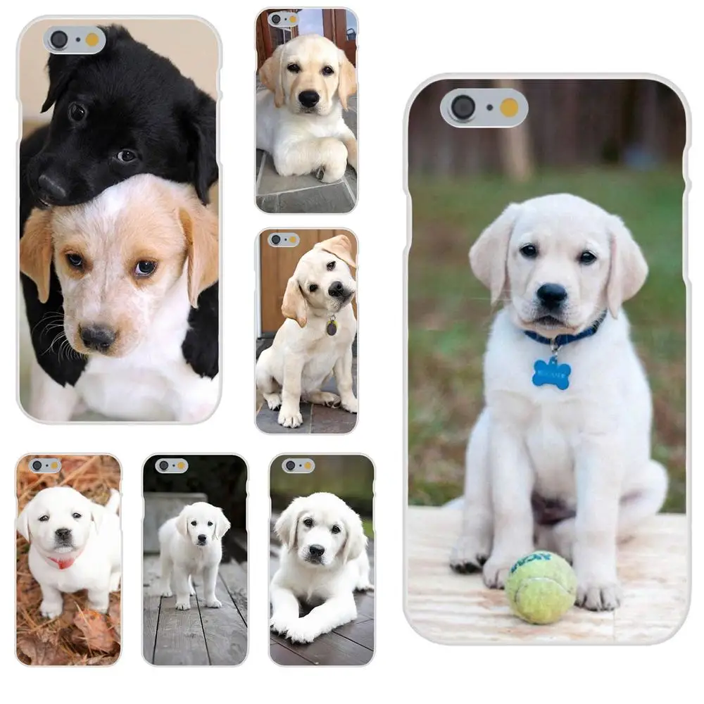 Soft Cool Best Cover Case For Xiaomi Redmi Note 2 3 3S 4 4A 4X 5 5A 6 6A Pro Plus Labrador Puppies Dog
Soft Cool Best Cover Case For Xiaomi Redmi Note 2 3 3S 4 4A 4X 5 5A 6 6A Pro Plus Labrador Puppies Dog