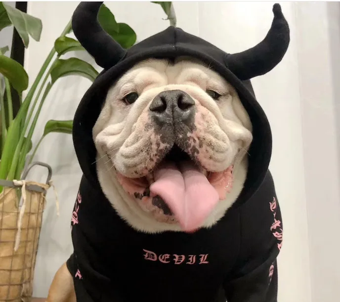 Drop shipping InsPuppy Dog Clothes Vestidos Pets dogs Devil Unicorn costume pet cat coats pet dog French Bulldog Halloween cloth
Drop shipping InsPuppy Dog Clothes Vestidos Pets dogs Devil Unicorn costume pet cat coats pet dog French Bulldog Halloween cloth