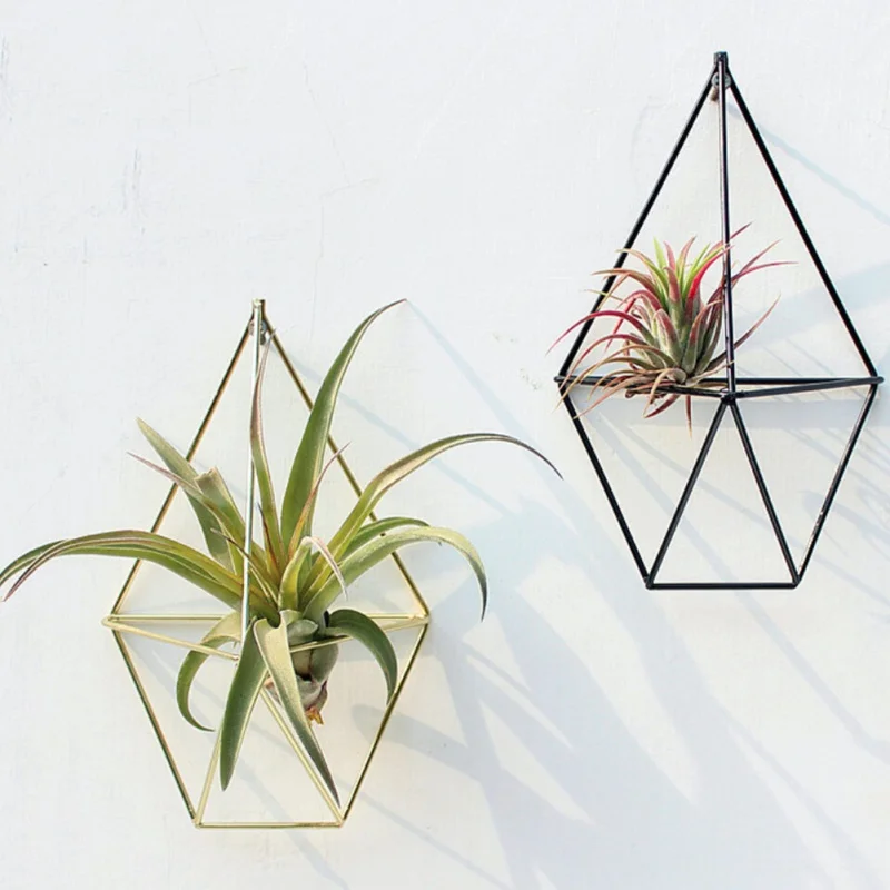 Hanging Tillandsia Air Plants Rack Metal Geometric Iron Art Rustic Flower Planter Pot Plants Rack Home & Kitchen, Craft
Hanging Tillandsia Air Plants Rack Metal Geometric Iron Art Rustic Flower Planter Pot Plants Rack Home & Kitchen, Craft