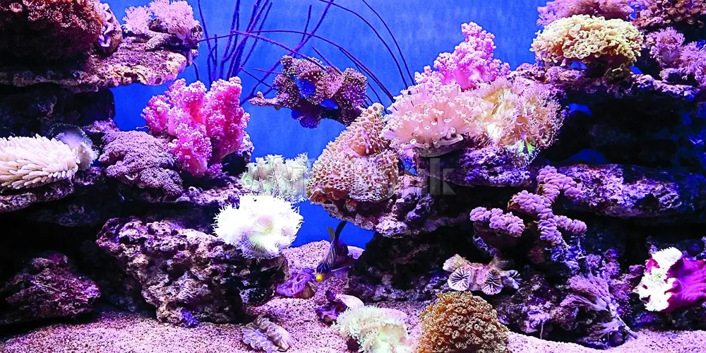 Customized Aquarium Background Poster With Self Adhesive Running Horses Pvc Fish Tank Decoration Accessories Landscape Wallpaper