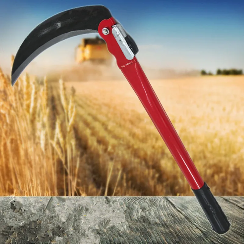 Fishing Cutter Sickle Aquatic Fishing Cutting Grass Plants Sharp Knife Anchor Weed/Water Grass Removal Tools
Fishing Cutter Sickle Aquatic Fishing Cutting Grass Plants Sharp Knife Anchor Weed/Water Grass Removal Tools
