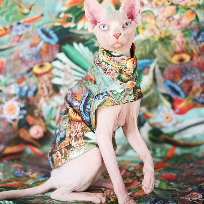 Sphinx cat clothes cotton summer thin spring and summer vacation cartoon hairless cat special cat outfit cats shirt
Sphinx cat clothes cotton summer thin spring and summer vacation cartoon hairless cat special cat outfit cats shirt