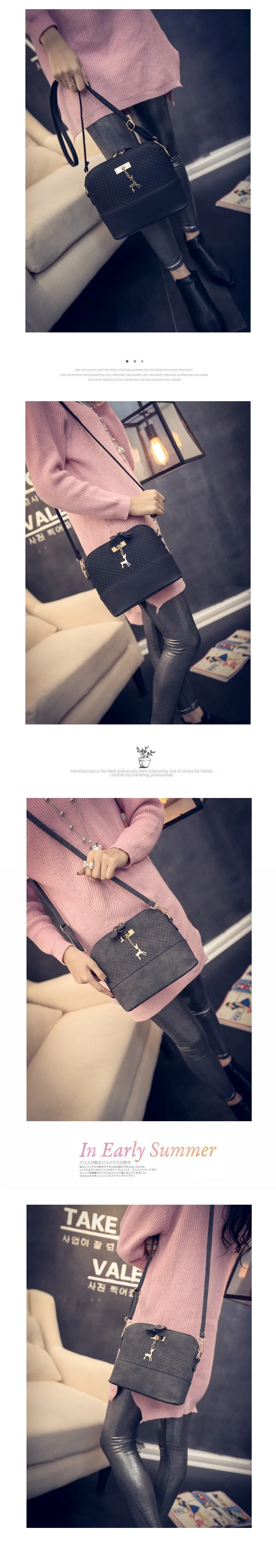 2713407092_802541751