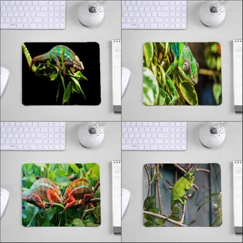 Mairuige High Quality Table Desk Mousepad Animals Creative Printed Chameleon Cat Dog Pet Pattern Pc Computer Laptop Mouse Pad
Mairuige High Quality Table Desk Mousepad Animals Creative Printed Chameleon Cat Dog Pet Pattern Pc Computer Laptop Mouse Pad