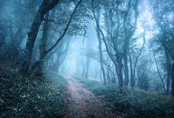 Laeacco Mysterious Hazy Forest Flowers Pathway Landscape Photography Backgrounds Vinyl Custom Camera Backdrops For Photo Studio
Laeacco Mysterious Hazy Forest Flowers Pathway Landscape Photography Backgrounds Vinyl Custom Camera Backdrops For Photo Studio
