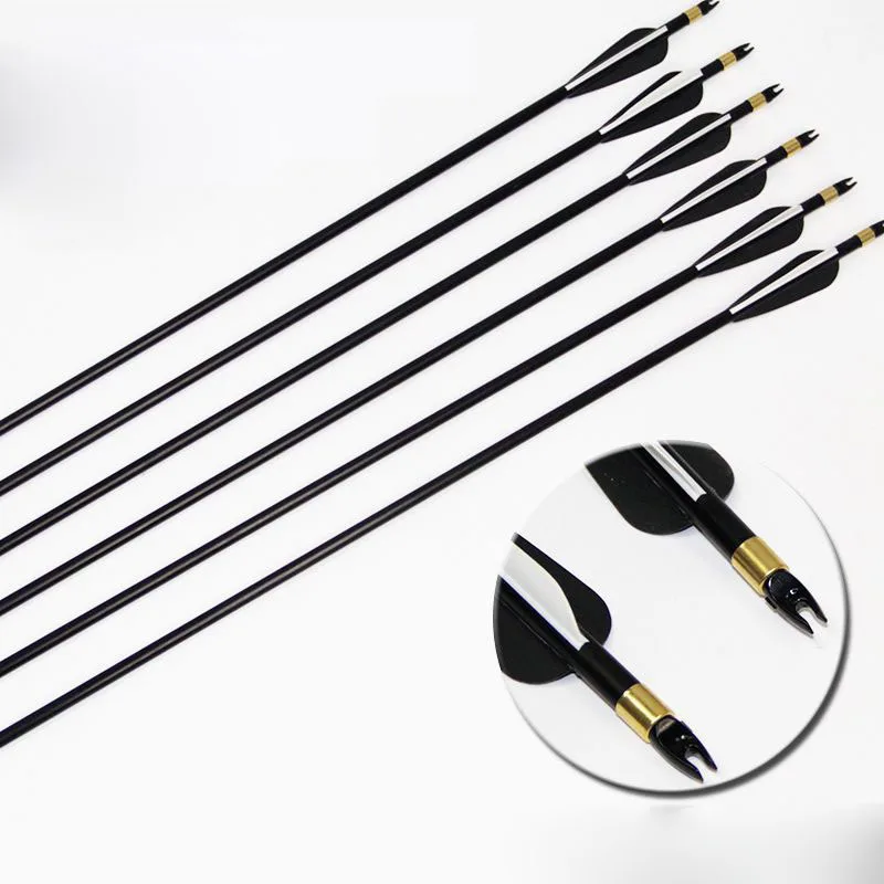 31 Inches Spine 600 Fiberglass Archery Arrow for Recurve Compound Bow Arrow or Long Bow Hunting Shooting Practice
31 Inches Spine 600 Fiberglass Archery Arrow for Recurve Compound Bow Arrow or Long Bow Hunting Shooting Practice
