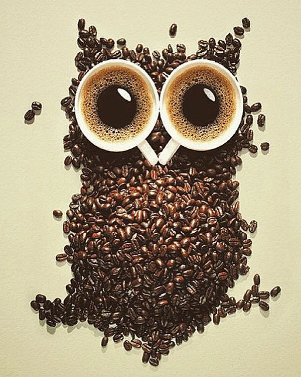Diamond Embroidery 5D Painting Coffee owl Christmas Cross Stitch Rhinestone Mosaic
Diamond Embroidery 5D Painting Coffee owl Christmas Cross Stitch Rhinestone Mosaic