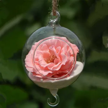 6cm 8cm 10cm 12cm15cm Small Packing Double Hock Glass Globe Vase Terrarium with open Wedding Decorative Hanging Glass Decorative
6cm 8cm 10cm 12cm15cm Small Packing Double Hock Glass Globe Vase Terrarium with open Wedding Decorative Hanging Glass Decorative
