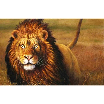DIY 5D Lion Diamond Painting Full Round Mosaic Animals Handmade Diamond Cross stitch Set Diamond Embroidery Gift
DIY 5D Lion Diamond Painting Full Round Mosaic Animals Handmade Diamond Cross stitch Set Diamond Embroidery Gift