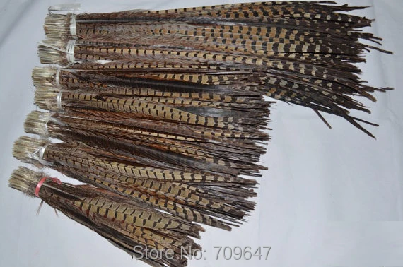 Freeshiping!100pcs/lot ringneck pheasant Feather tail natural pheasant tail feather 16-18 inches 40-45cm
Freeshiping!100pcs/lot ringneck pheasant Feather tail natural pheasant tail feather 16-18 inches 40-45cm