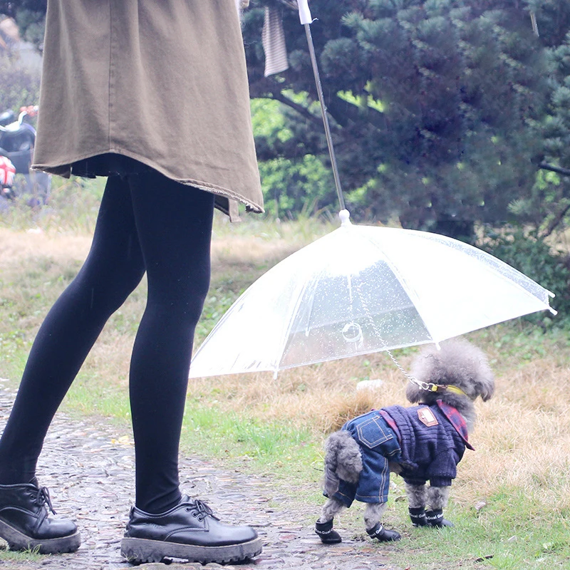 Pet Umbrellas hyena artifact Teddy bear dog pet Rain Gear lovely pet supplies waterproof cat dog umbrella free shipping sale
Pet Umbrellas hyena artifact Teddy bear dog pet Rain Gear lovely pet supplies waterproof cat dog umbrella free shipping sale