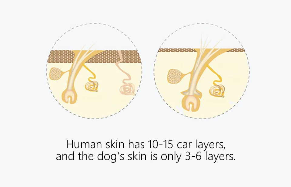 Cat Hair Removal Brush Comb HTB1OZ0fd8iE3KVjSZFMq6zQhVXaU.jpg - Cat Hair Removal Brush Comb