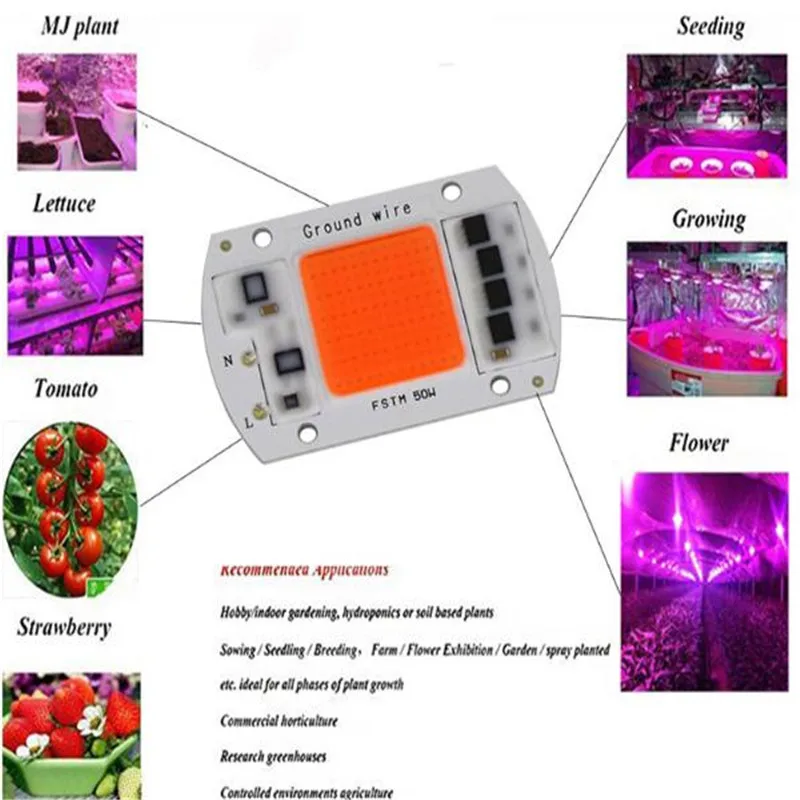 DIY DOB LED Grow Light Chip AC 220V 20W 30W 50W Full Spectrum Phyto Lamp For Indoor Garden greenhouse Flowers Growth LED Beads
DIY DOB LED Grow Light Chip AC 220V 20W 30W 50W Full Spectrum Phyto Lamp For Indoor Garden greenhouse Flowers Growth LED Beads