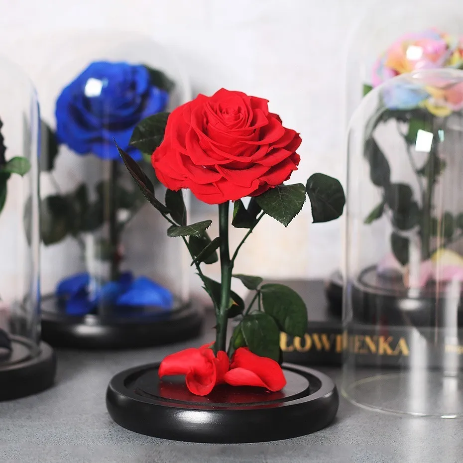 Beauty And The Beast Rose Flower Preserved In Glass Dome Home Decoration For Valentines's Day Christmas Gifts Artificial Flowers
Beauty And The Beast Rose Flower Preserved In Glass Dome Home Decoration For Valentines's Day Christmas Gifts Artificial Flowers