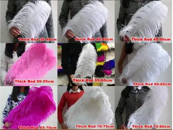 DEKEY wholesale 50pcs/lot 60-65cm High Quality Multi-Color Smooth Fluffy Natural Ostrich Feather
DEKEY wholesale 50pcs/lot 60-65cm High Quality Multi-Color Smooth Fluffy Natural Ostrich Feather