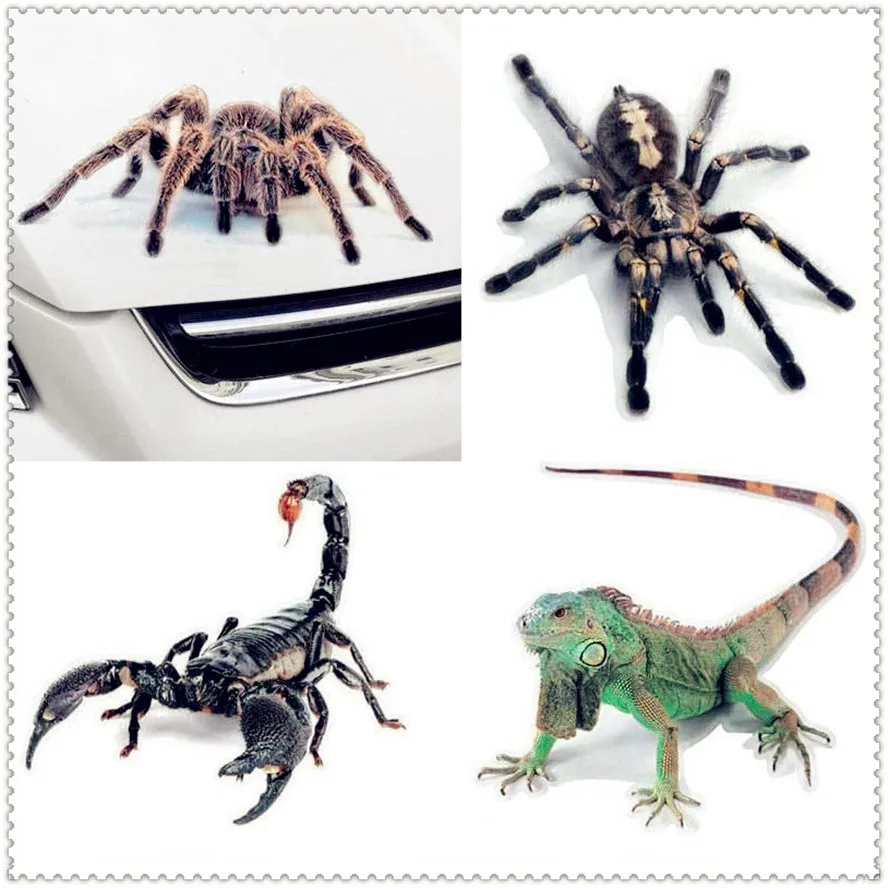 3D Car Sticker Animals Spider Gecko Scorpions Vinyl Decal for Kia Provo K9 Cross Carens CUB Trackster Ray K2 Naimo Pro Venga
3D Car Sticker Animals Spider Gecko Scorpions Vinyl Decal for Kia Provo K9 Cross Carens CUB Trackster Ray K2 Naimo Pro Venga