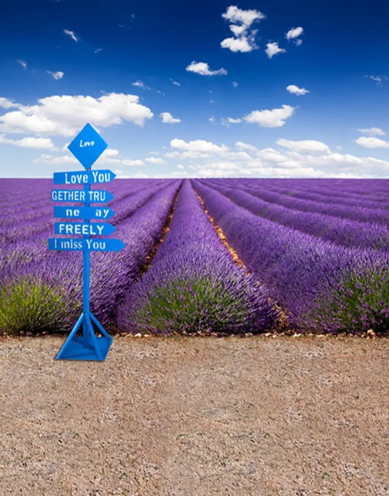 5x7ft Blue Sky Purple Flowers Lavender Photography Backdrops Photo Props Studio Background
5x7ft Blue Sky Purple Flowers Lavender Photography Backdrops Photo Props Studio Background