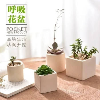 White terracotta flower pots white clay pots breathable tile pots Hongtao European purple clay bonsai small potted plants
White terracotta flower pots white clay pots breathable tile pots Hongtao European purple clay bonsai small potted plants