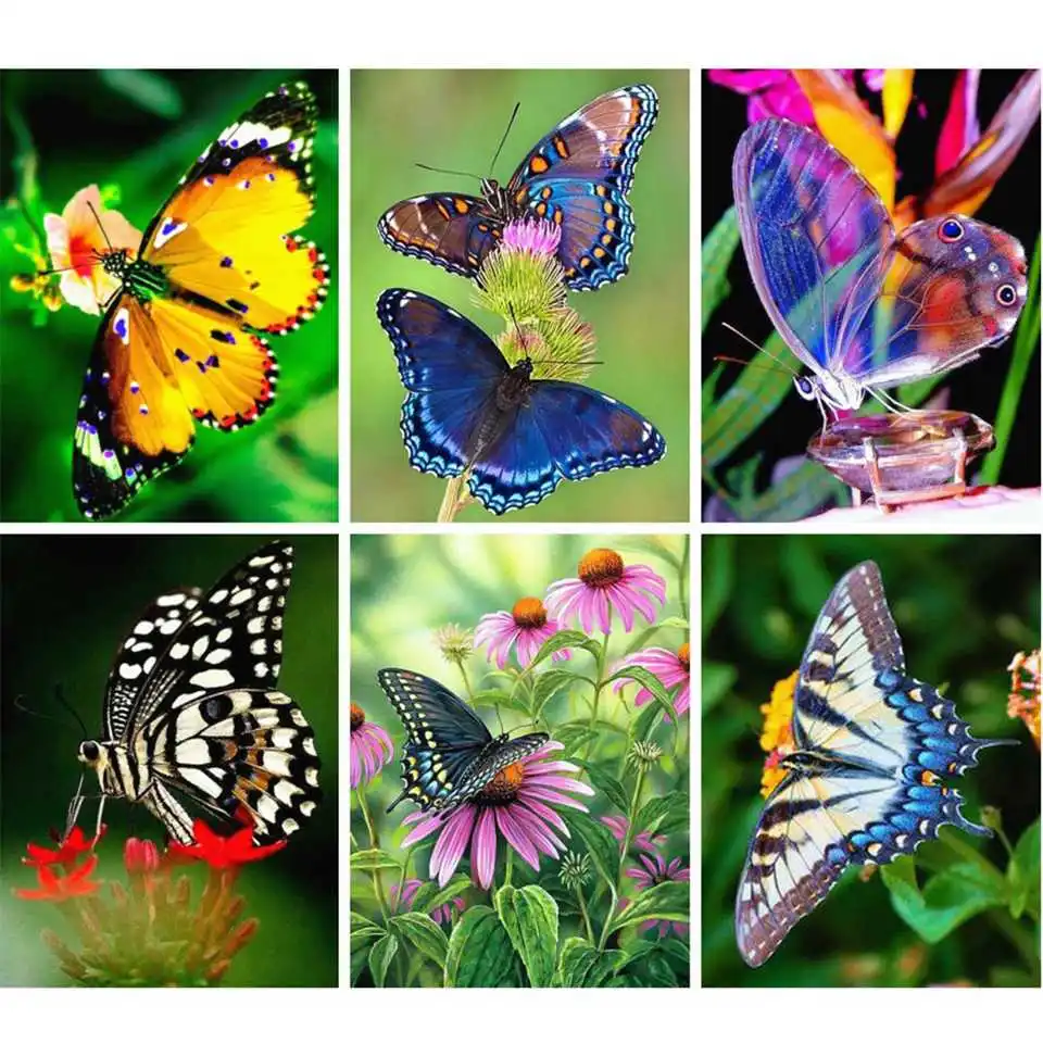AZQSD Diamond Painting Butterfly Picture Of Rhinestones Diamond Embroidery Animal Needlework Diamond Mosaic Cross Stitch Kit
AZQSD Diamond Painting Butterfly Picture Of Rhinestones Diamond Embroidery Animal Needlework Diamond Mosaic Cross Stitch Kit