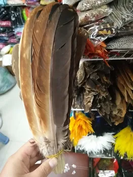 wholesale 10pcs/lot natural Pheasant Feather Rare Eagle Feather 30-40cm/12-16inch Diy Jewelry Decoration Left And Right Side
wholesale 10pcs/lot natural Pheasant Feather Rare Eagle Feather 30-40cm/12-16inch Diy Jewelry Decoration Left And Right Side