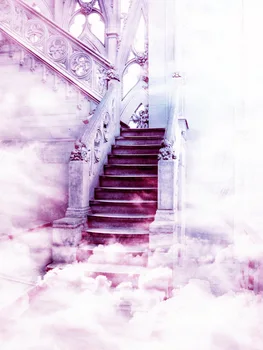 Photo studio backgrounds 10x10ft vinil background beauty europe stairway fond photographie mariage backdrops wedding
Photo studio backgrounds 10x10ft vinil background beauty europe stairway fond photographie mariage backdrops wedding