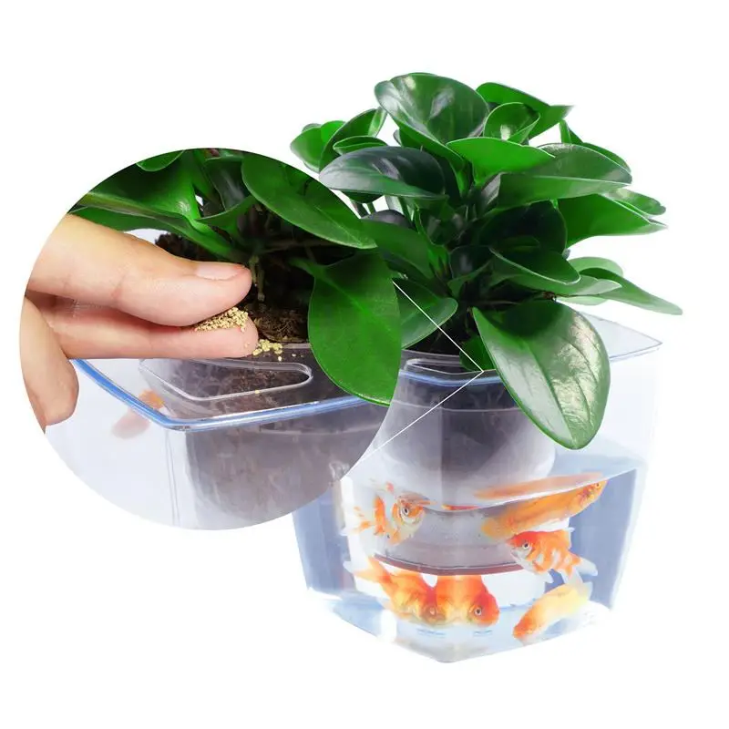 Geometric Fish Tank Flowers Pots Smart Wall Planter Cachepot Decor Succulent for green plants Orchids Transparent Cactus Stand
Geometric Fish Tank Flowers Pots Smart Wall Planter Cachepot Decor Succulent for green plants Orchids Transparent Cactus Stand