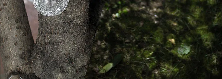 12_