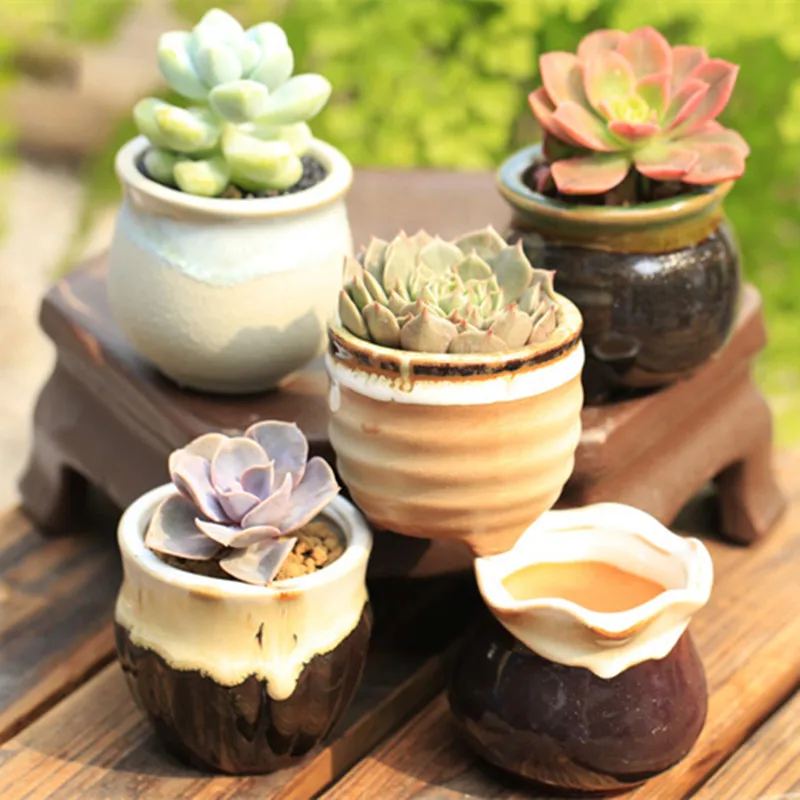 Mini Ceramic Vase for Succulents Flower Box Pot Wedding Christmas Home Garden Decoration
Mini Ceramic Vase for Succulents Flower Box Pot Wedding Christmas Home Garden Decoration