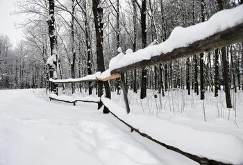 Laeacco Winter Snow Forest Tree Fence Scene Photography Backdrops Vinyl Photo Backdrop Custom Backgrounds Props For Photo Studio
Laeacco Winter Snow Forest Tree Fence Scene Photography Backdrops Vinyl Photo Backdrop Custom Backgrounds Props For Photo Studio